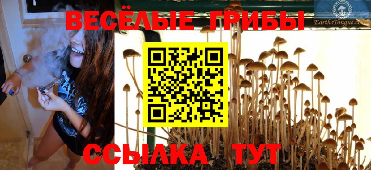 Псилоцибиновые грибы Magic Shrooms  Вход с VPN  Галлюциногенные грибы мицелий  Тула 